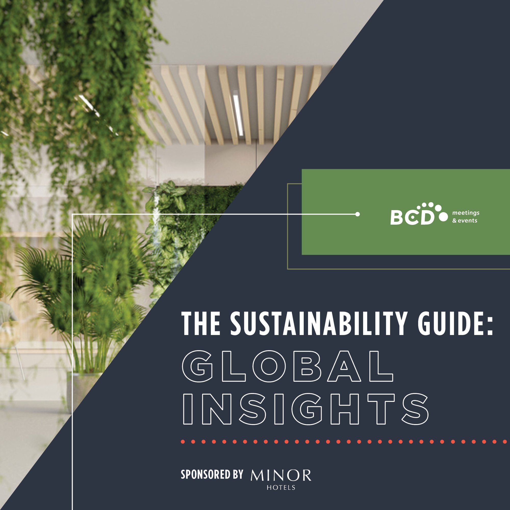 NEW_The Sustainability Guide Global Insights_Static Instagram Graphic 1080x1080